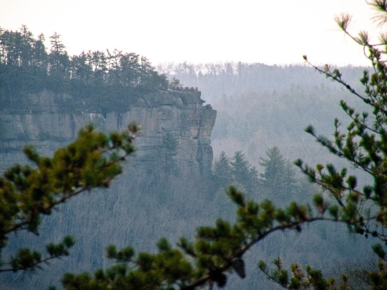 0104_Early January on Sheltowee Trace_ Red River Gorge - 06.jpg